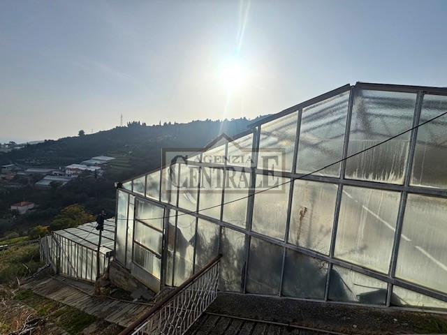 Agenzia Immobiliare Centrale Sanremo
